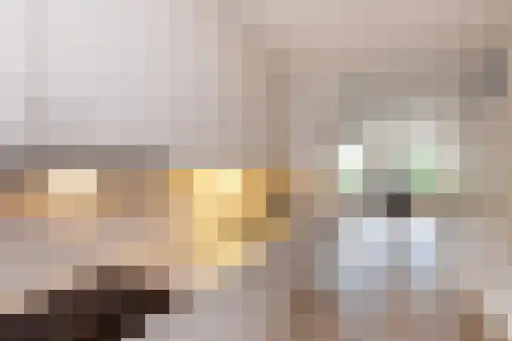 Gantvoort 5 Neede thumbnail 6