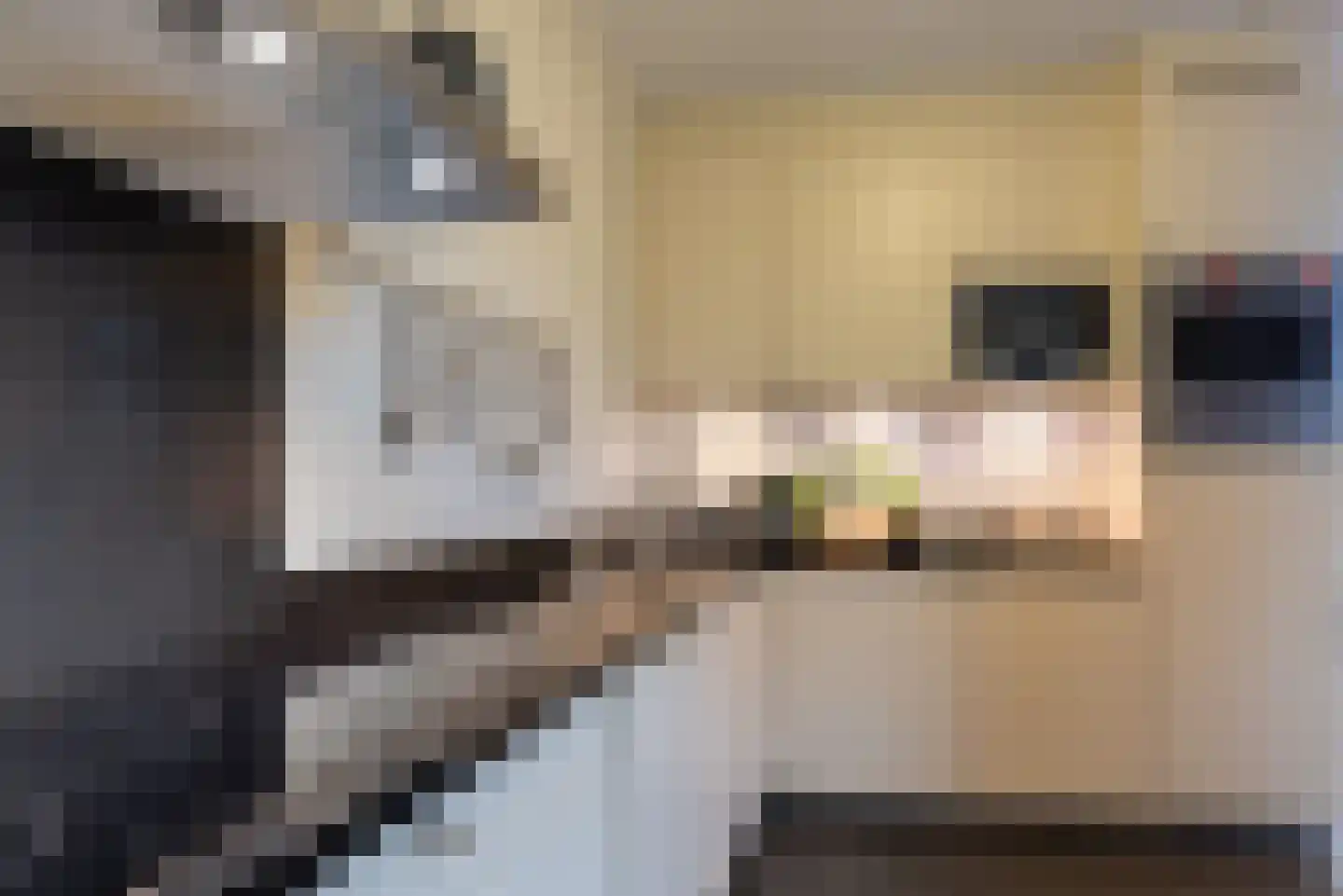 Ganuenta 40 Colijnsplaat thumbnail 10