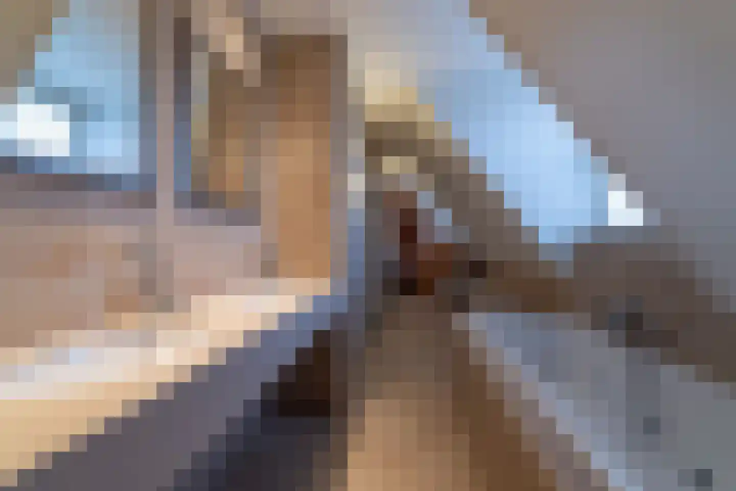 Ganuenta 40 Colijnsplaat thumbnail 22