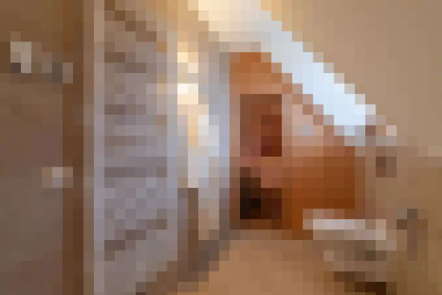 Ganuenta 40 Colijnsplaat thumbnail 23