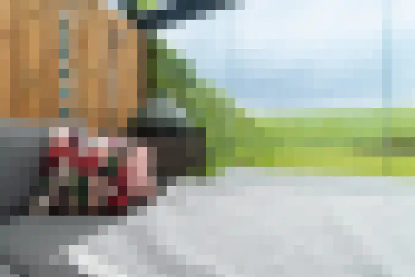 Ganuenta 40 Colijnsplaat thumbnail 27