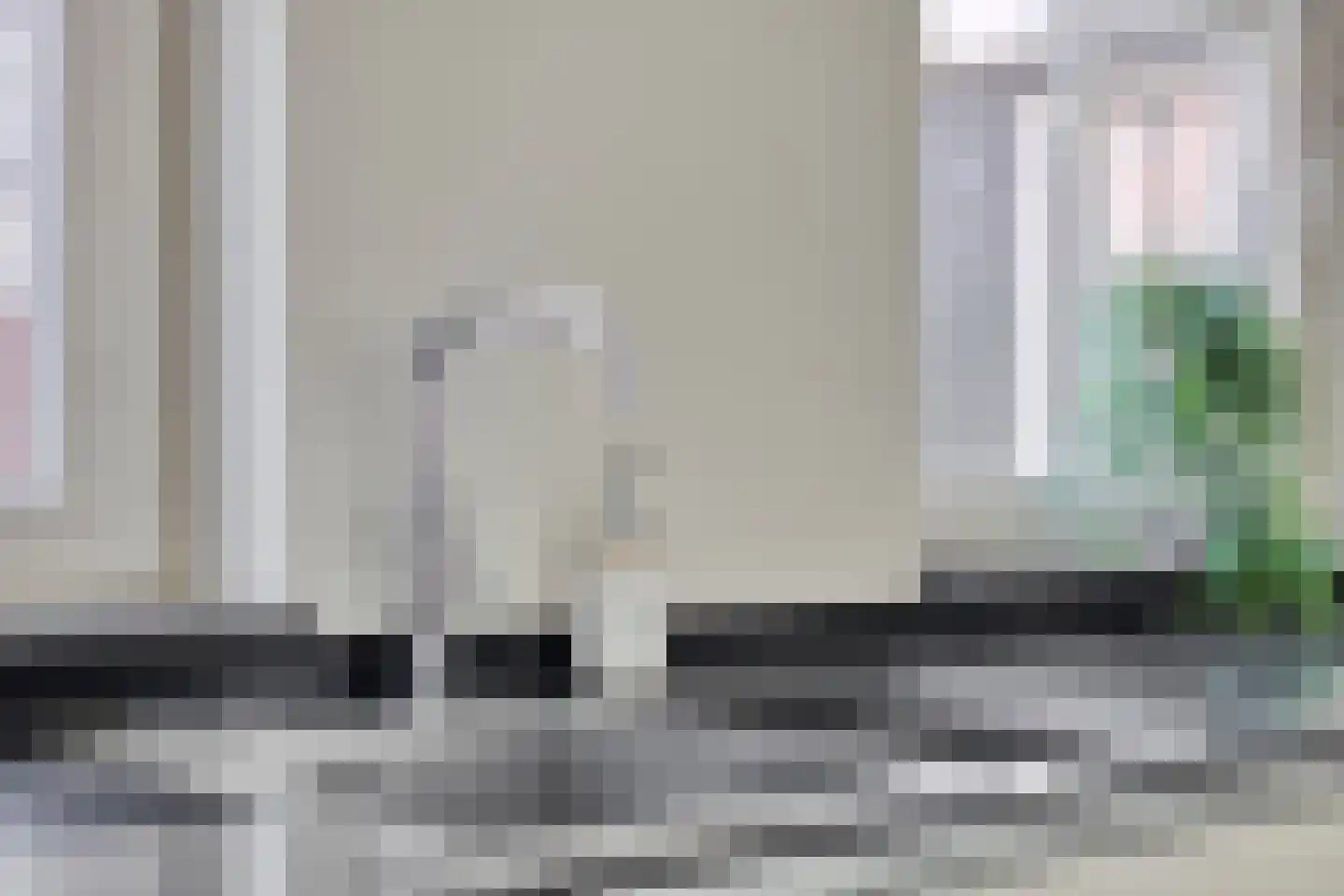 Ganuenta 68 Colijnsplaat thumbnail 16