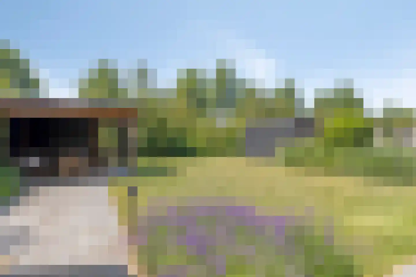 Ganuenta 68 Colijnsplaat thumbnail 32