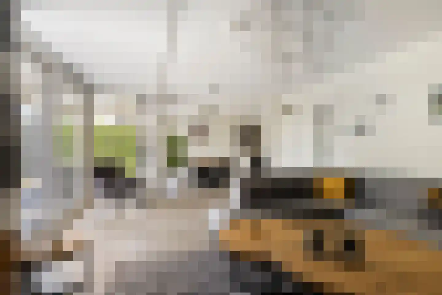 Ganuenta 68 Colijnsplaat thumbnail 5