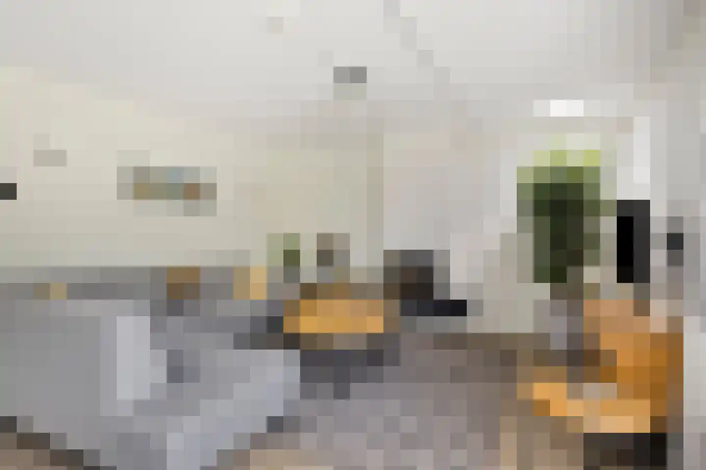 Ganuenta 68 Colijnsplaat thumbnail 6