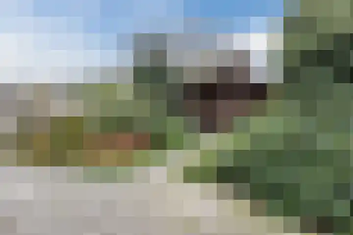 Ganzeakkers 16 Oost West en Middelbeers thumbnail 21