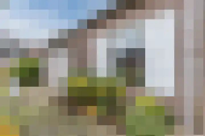 Ganzeakkers 16 Oost West en Middelbeers thumbnail 26