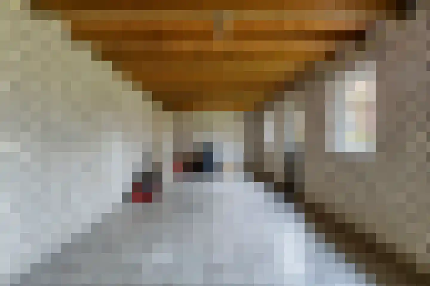 Ganzeakkers 2 a Oost West en Middelbeers thumbnail 45