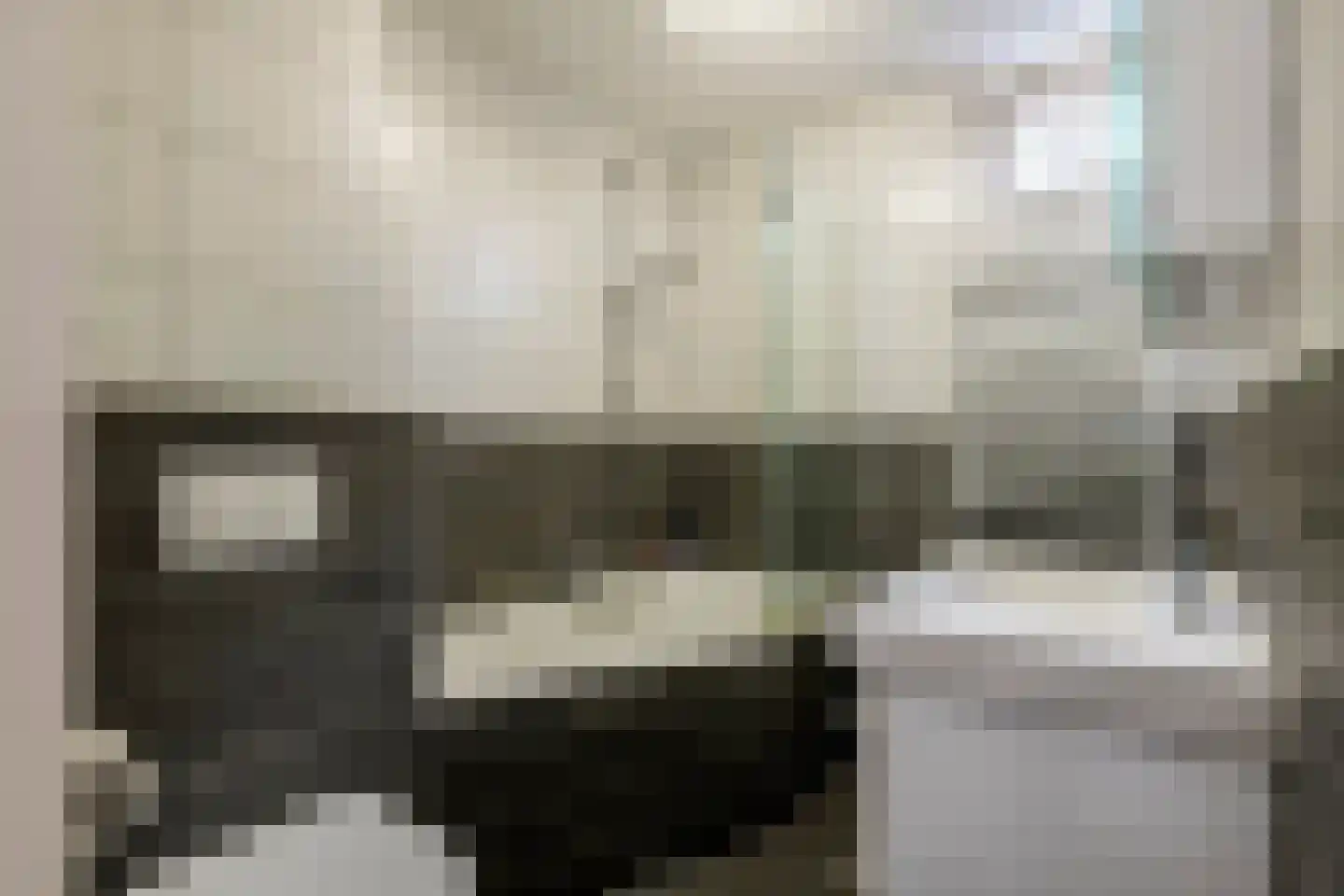 Ganzebloem 10 Culemborg thumbnail 20