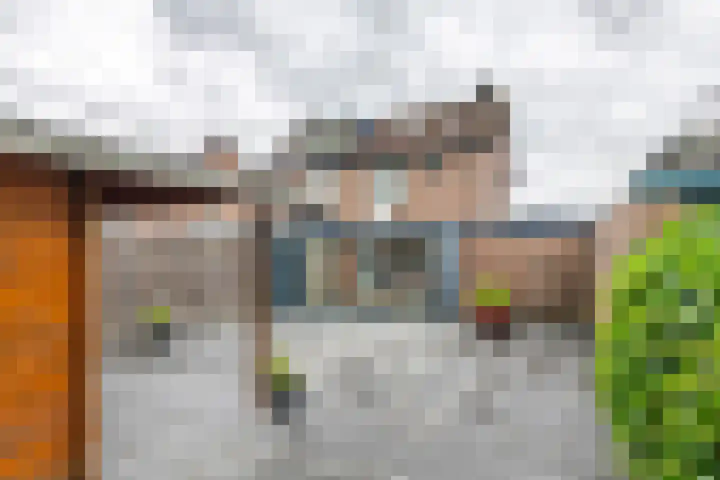 Ganzebloem 10 Culemborg thumbnail 33