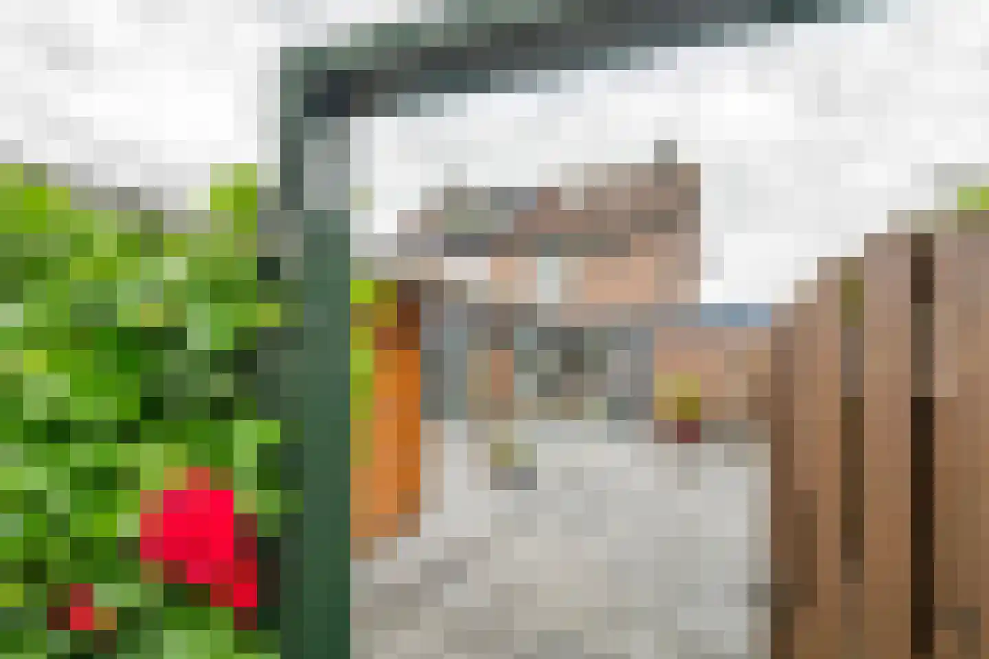 Ganzebloem 10 Culemborg thumbnail 34