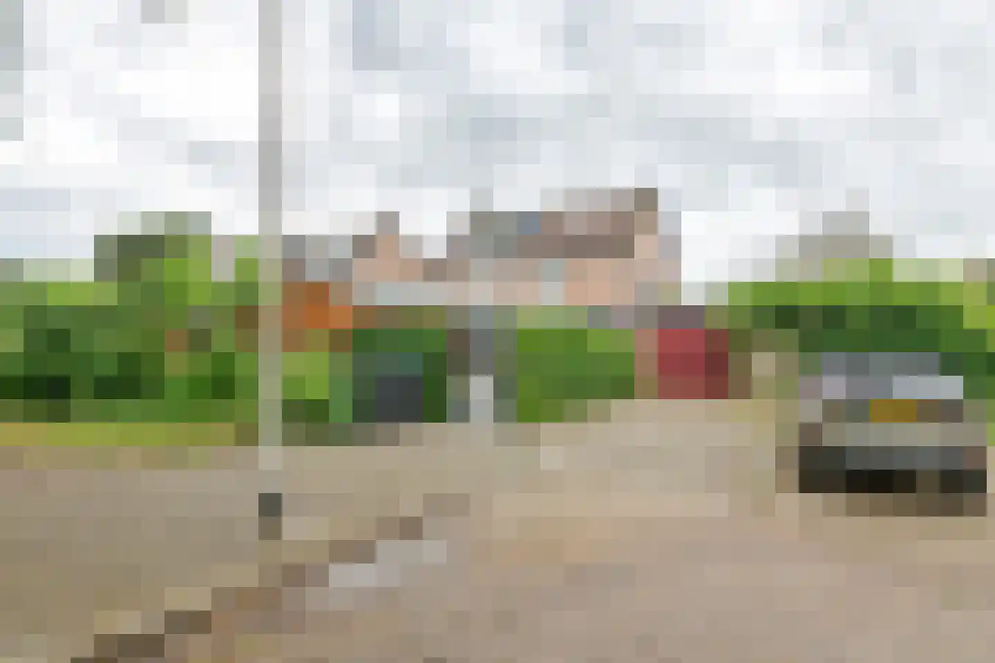 Ganzebloem 10 Culemborg thumbnail 35