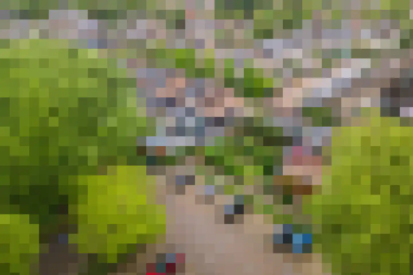 Ganzebloem 10 Culemborg thumbnail 37