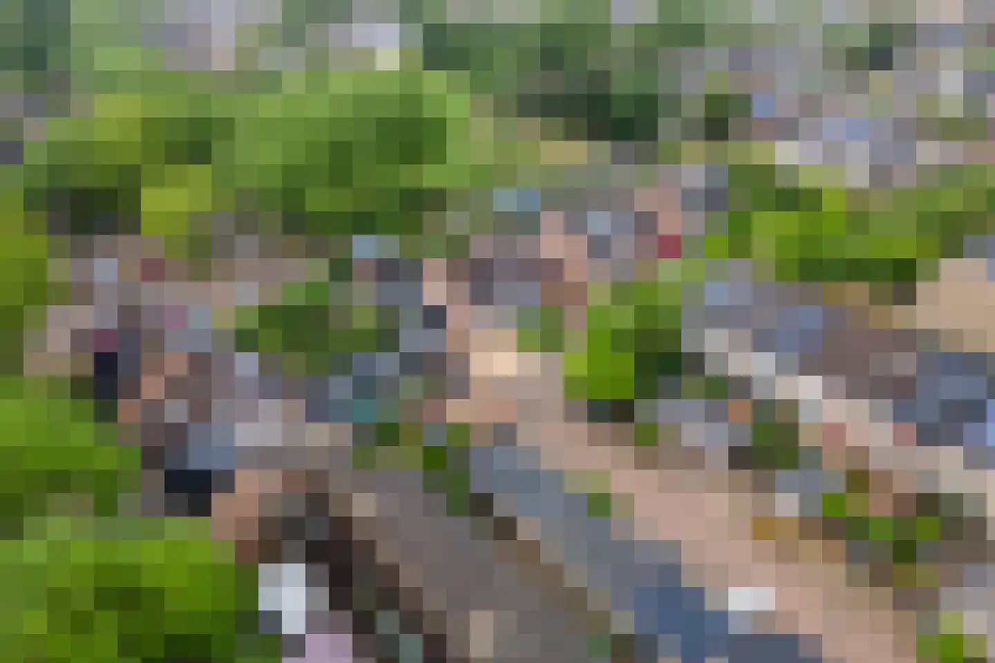 Ganzebloem 10 Culemborg thumbnail 39