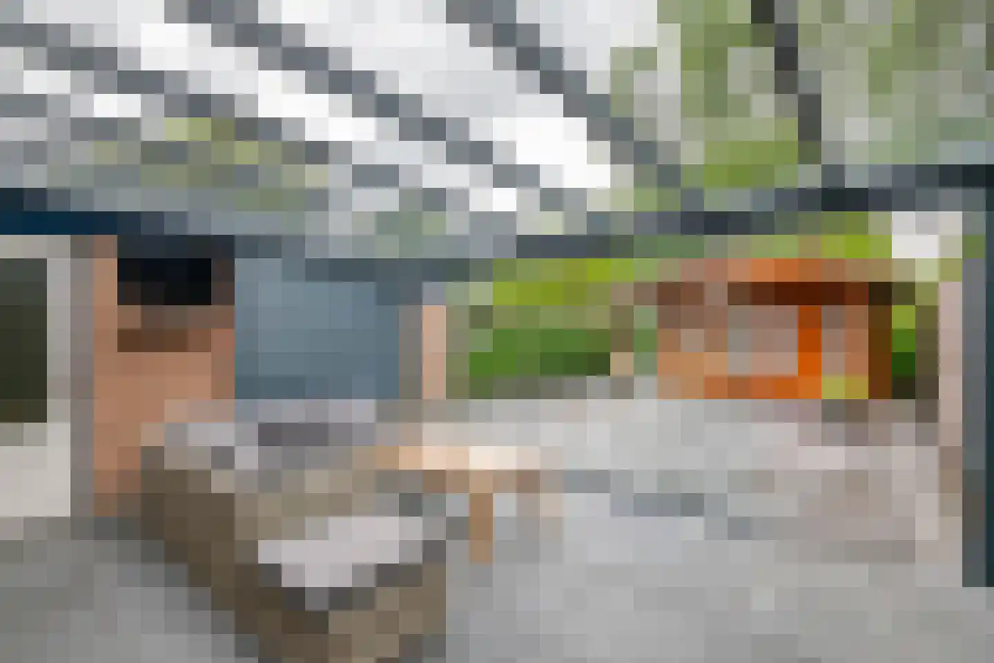 Ganzebloem 10 Culemborg thumbnail 4