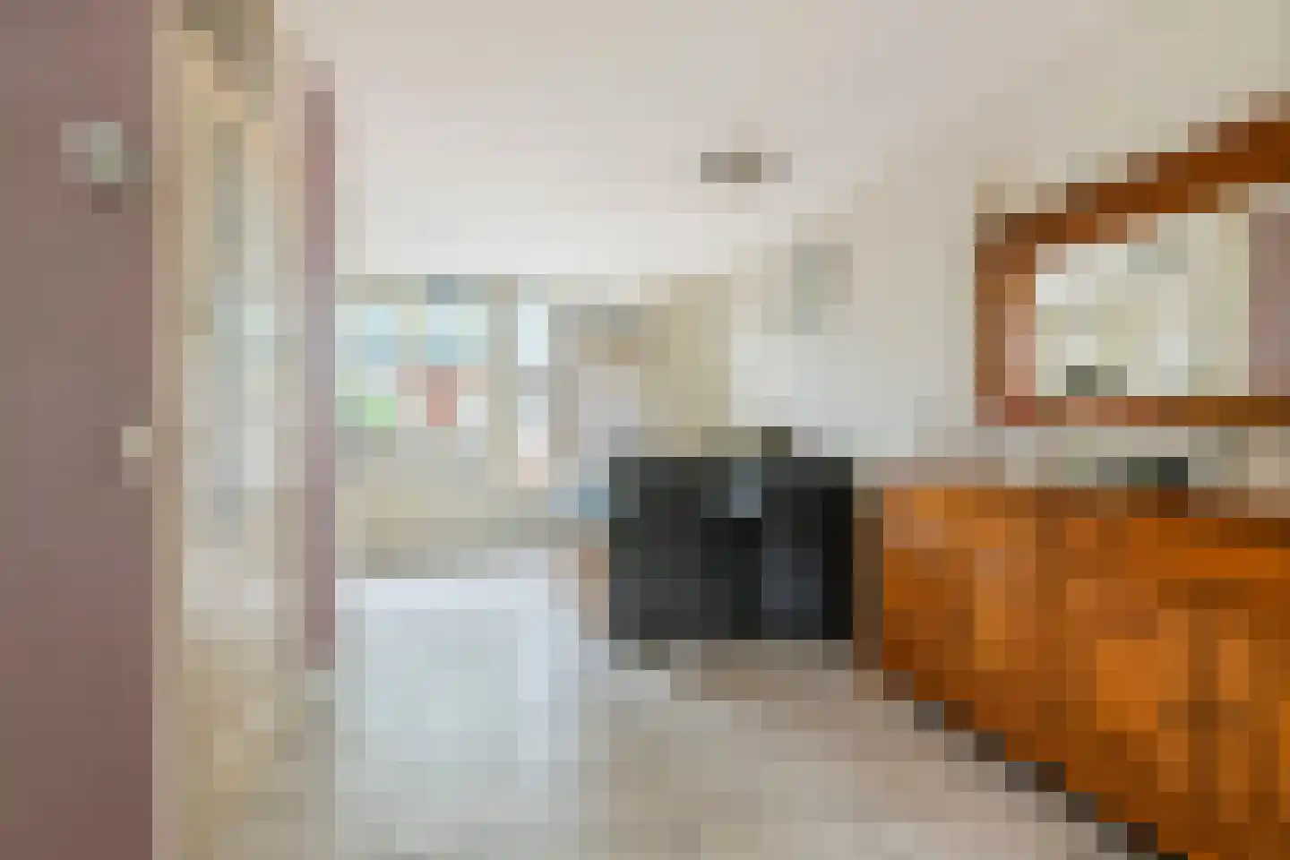 Ganzebloem 10 Culemborg thumbnail 9