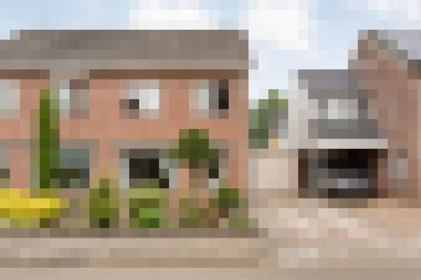 Ganzebloem 11 Hardenberg