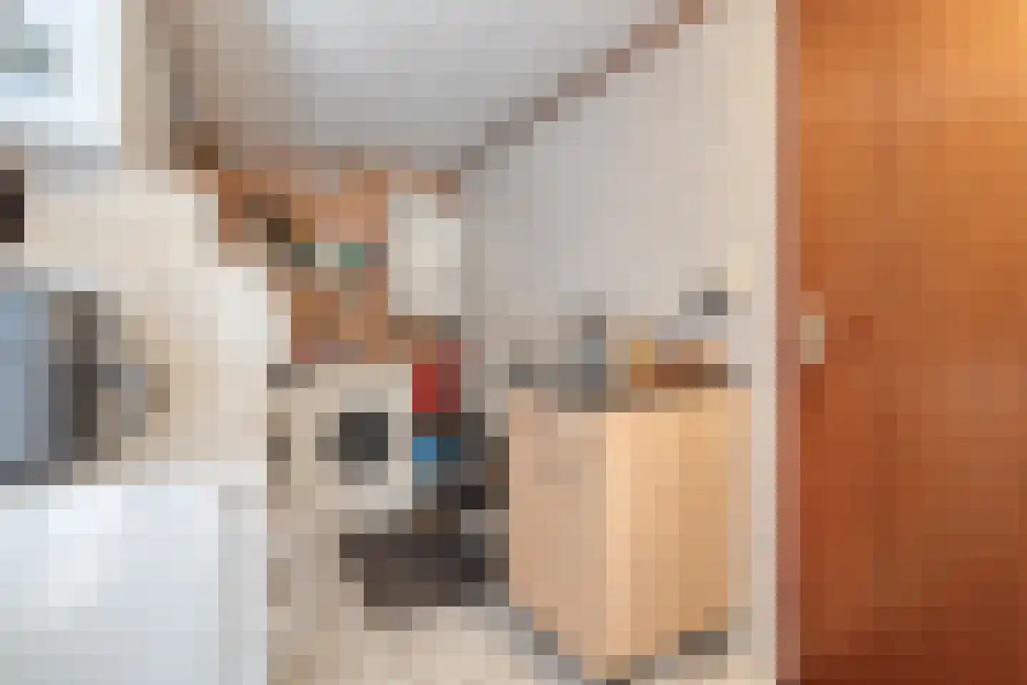 Ganzebloem 11 Hardenberg thumbnail 18