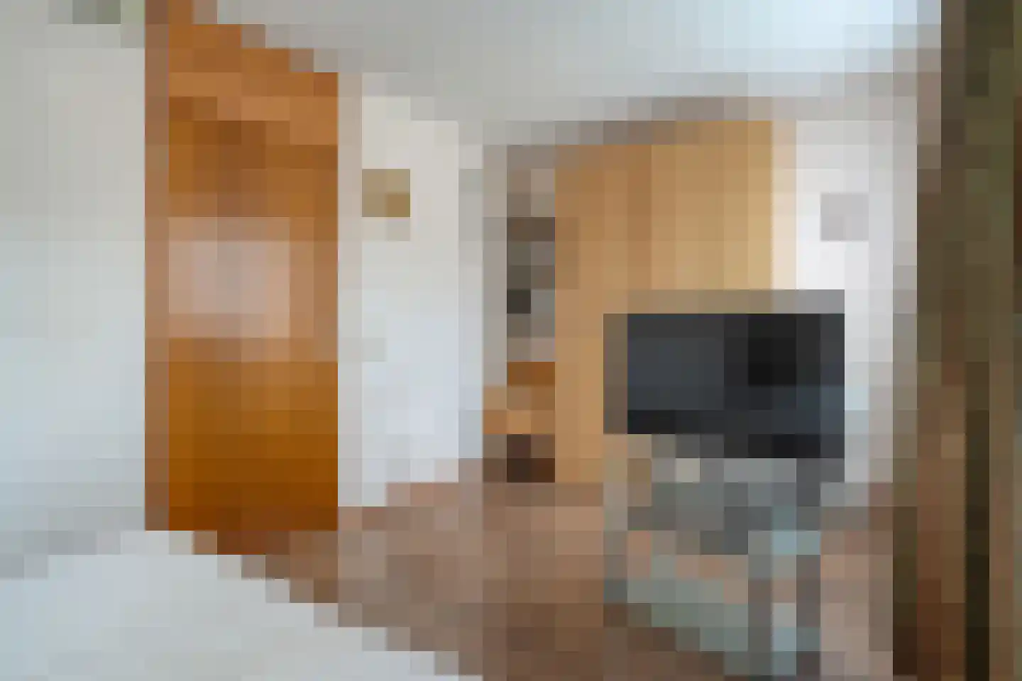 Ganzebloem 11 Hardenberg thumbnail 24