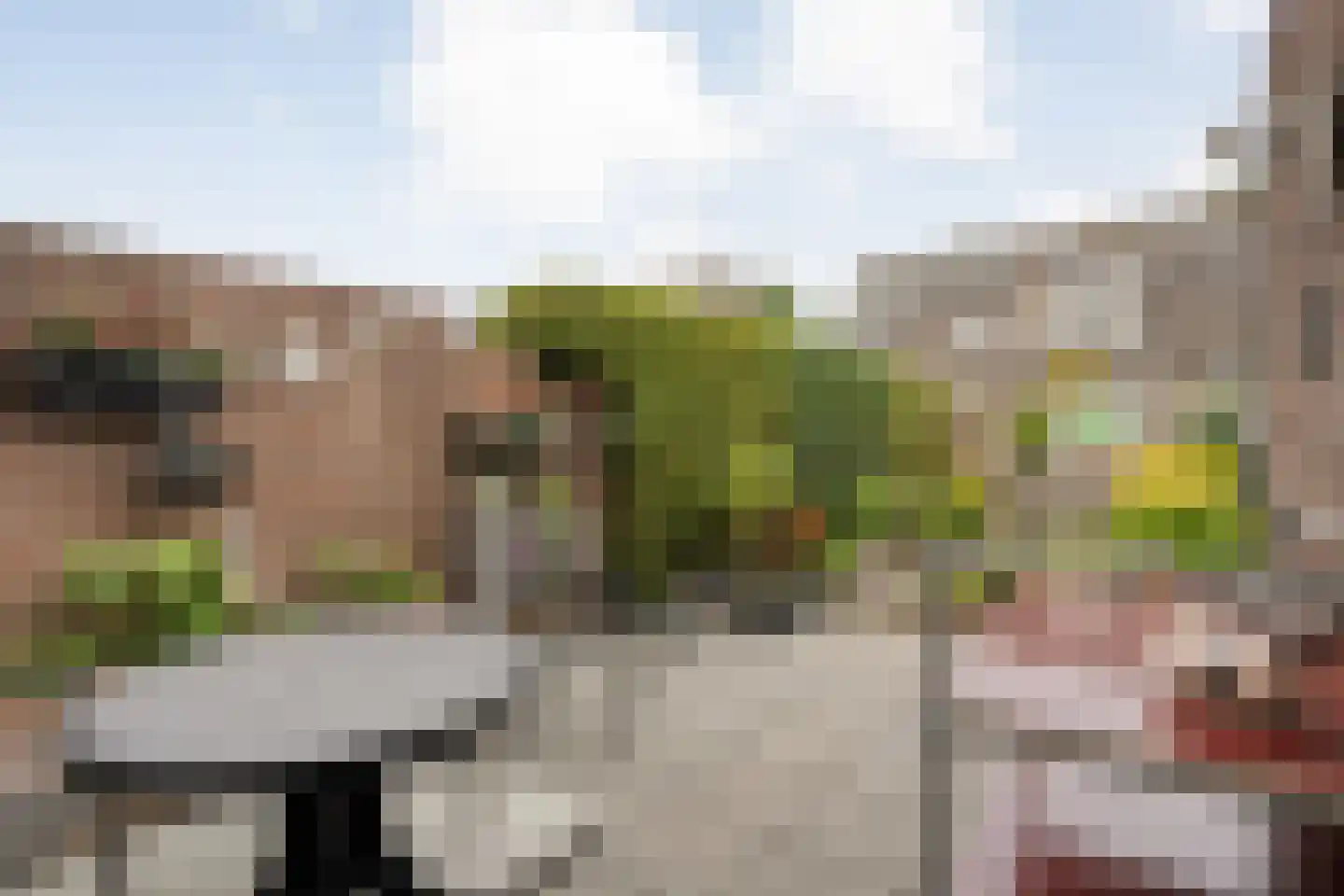 Ganzebloem 11 Hardenberg thumbnail 31