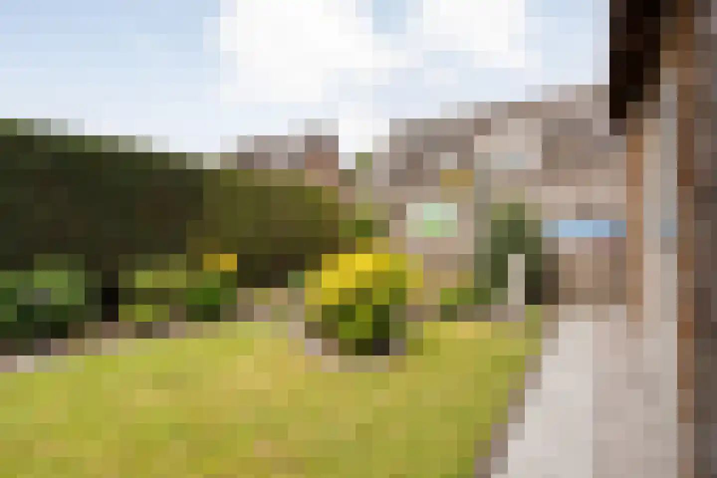 Ganzebloem 11 Hardenberg thumbnail 33