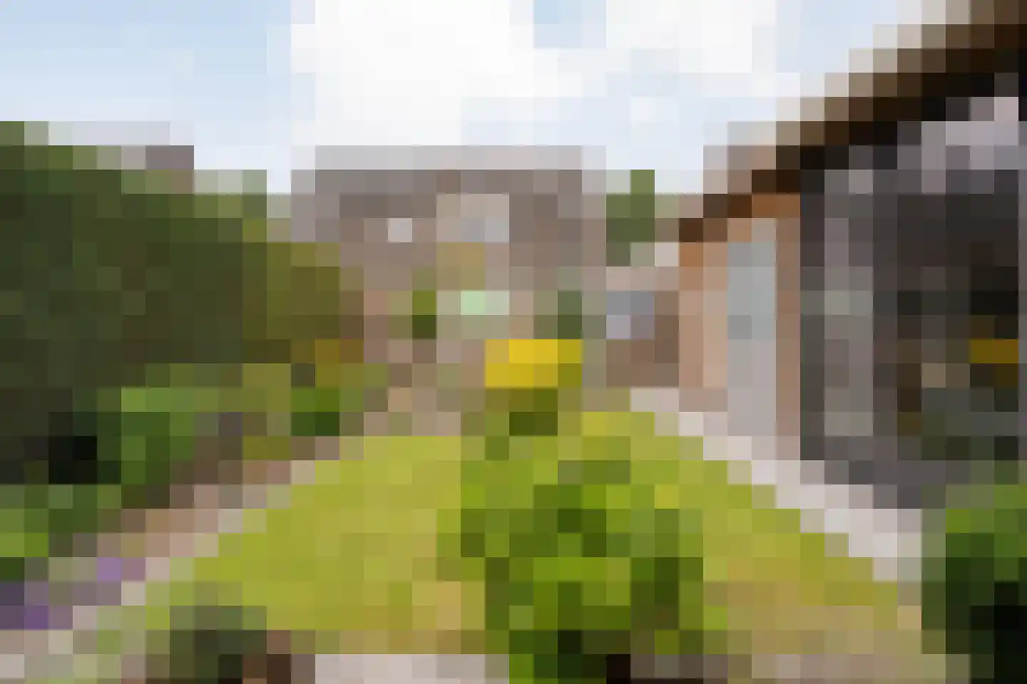 Ganzebloem 11 Hardenberg thumbnail 34