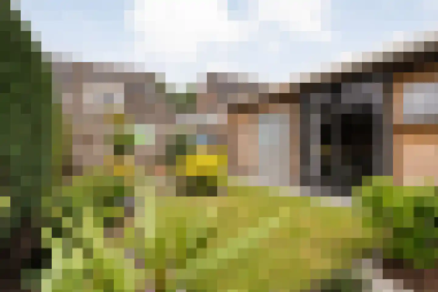 Ganzebloem 11 Hardenberg thumbnail 35