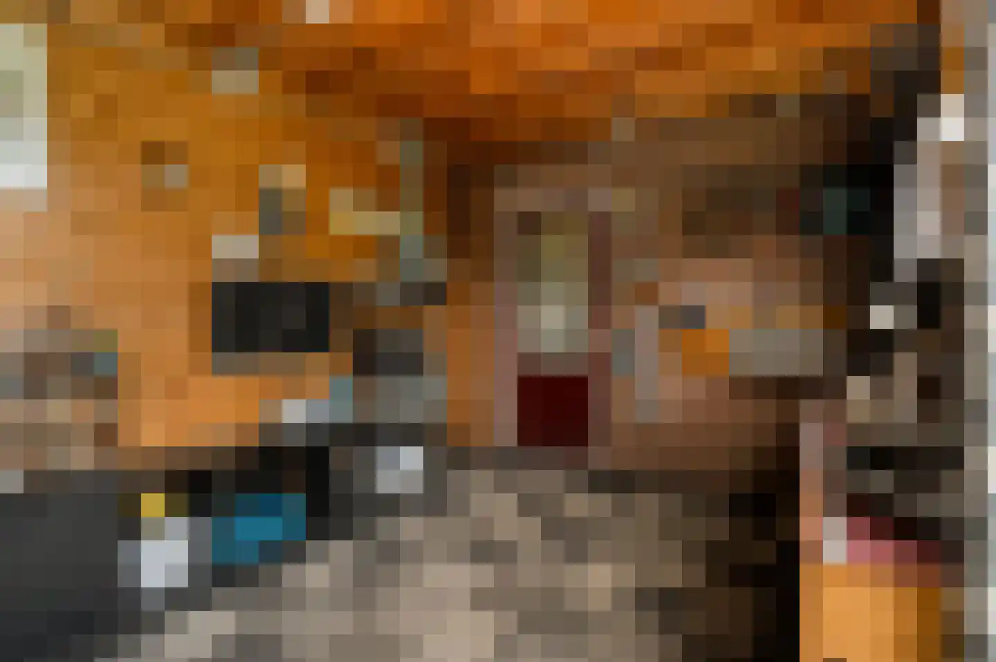 Ganzebloem 11 Hardenberg thumbnail 36