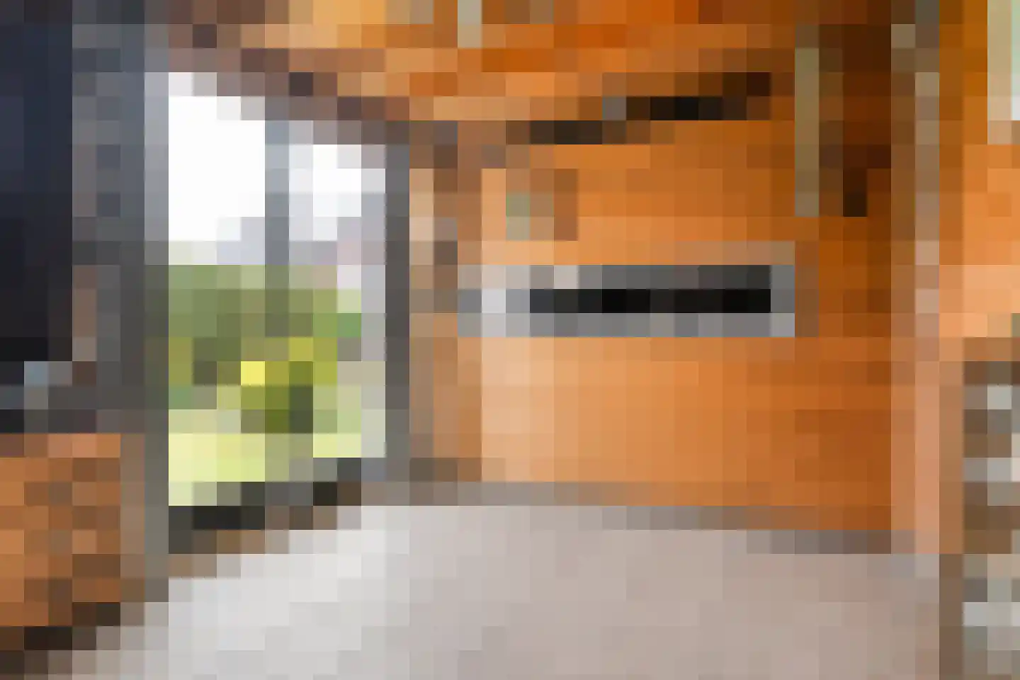 Ganzebloem 11 Hardenberg thumbnail 37