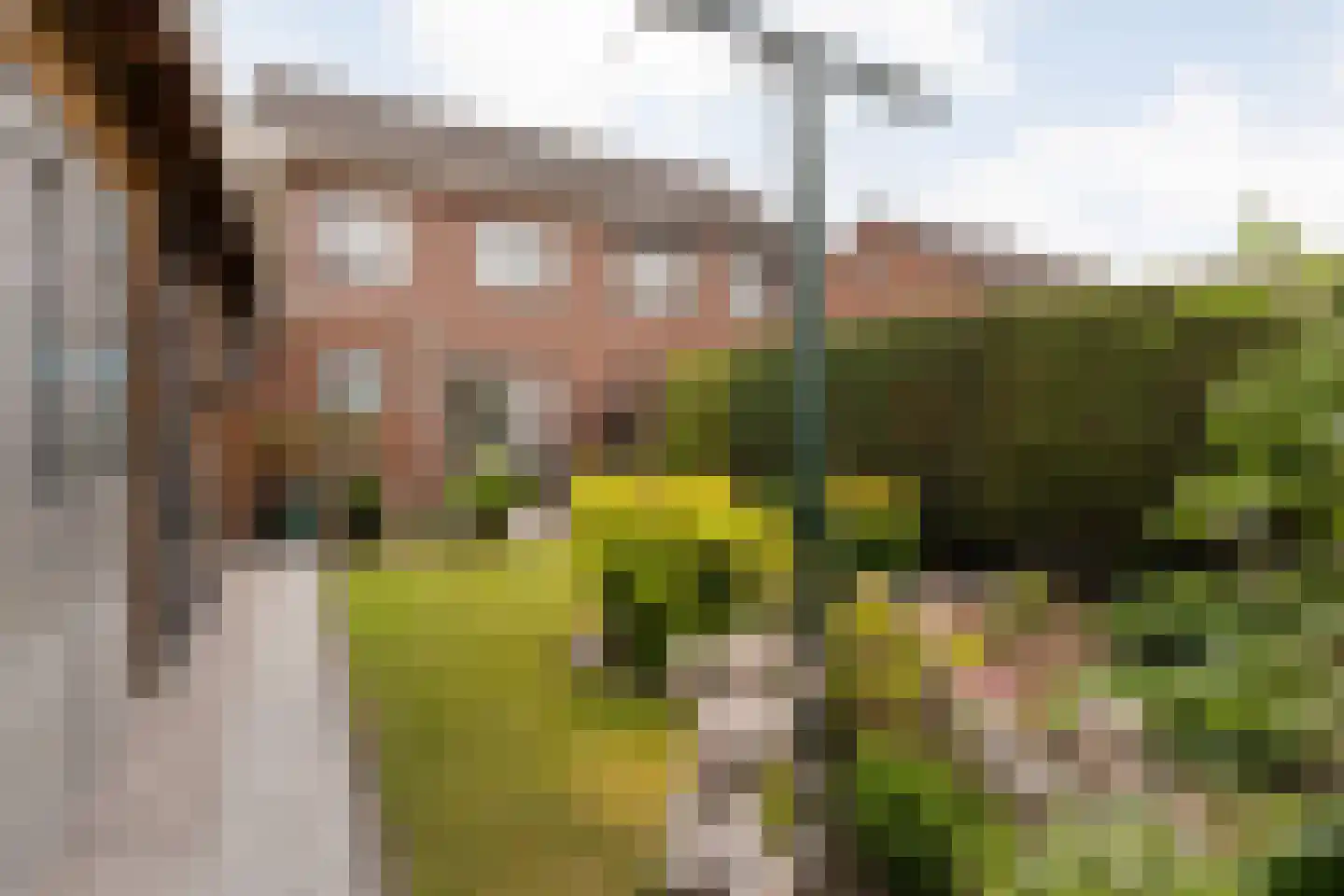 Ganzebloem 11 Hardenberg thumbnail 38