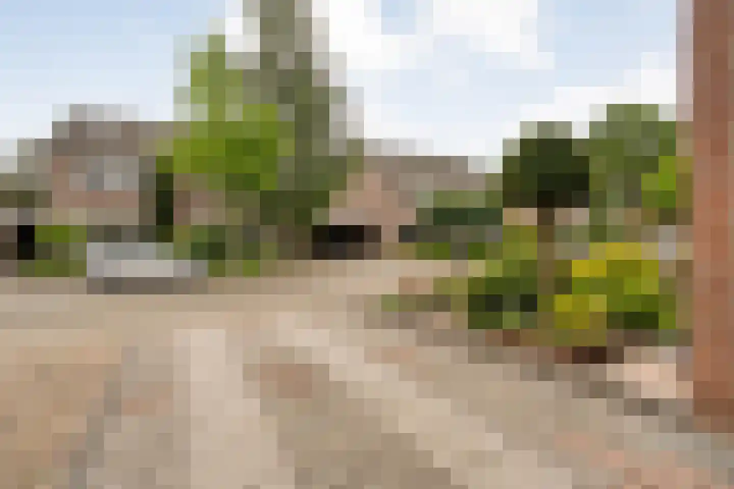 Ganzebloem 11 Hardenberg thumbnail 6