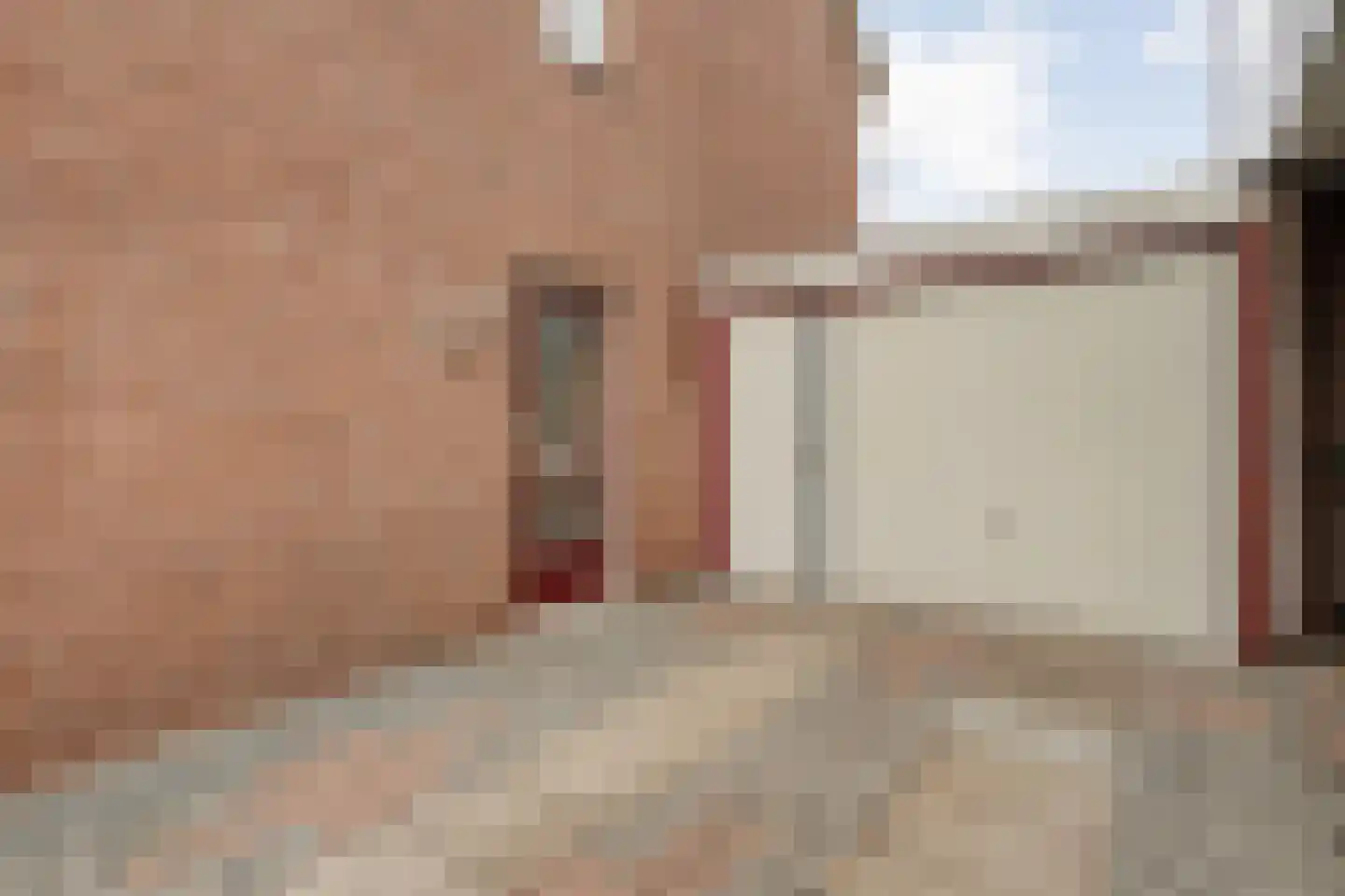 Ganzebloem 11 Hardenberg thumbnail 7