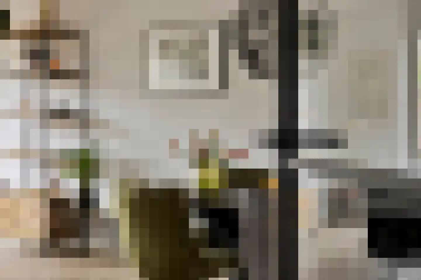 Ganzebloem 11 Kampen thumbnail 10