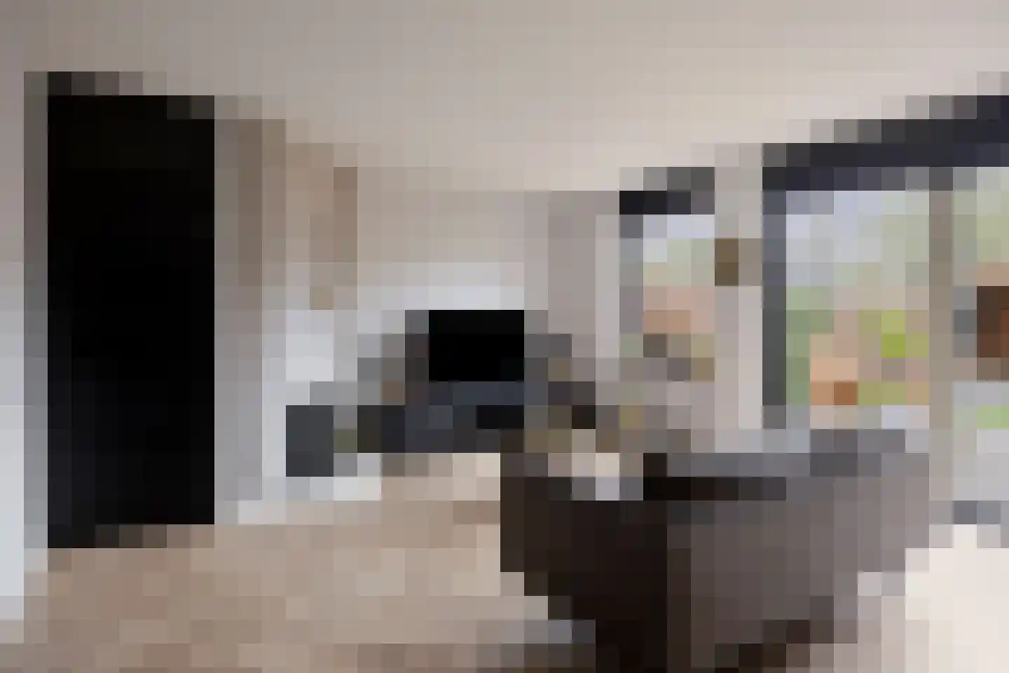 Ganzebloem 11 Kampen thumbnail 12