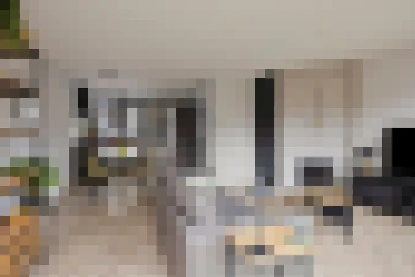 Ganzebloem 11 Kampen thumbnail 13