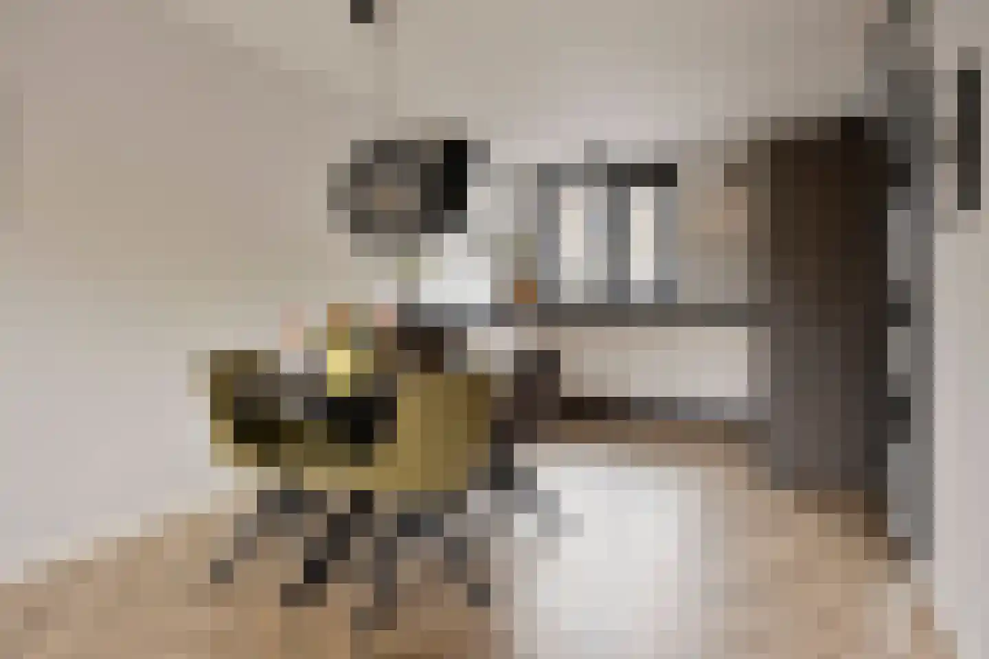 Ganzebloem 11 Kampen thumbnail 15