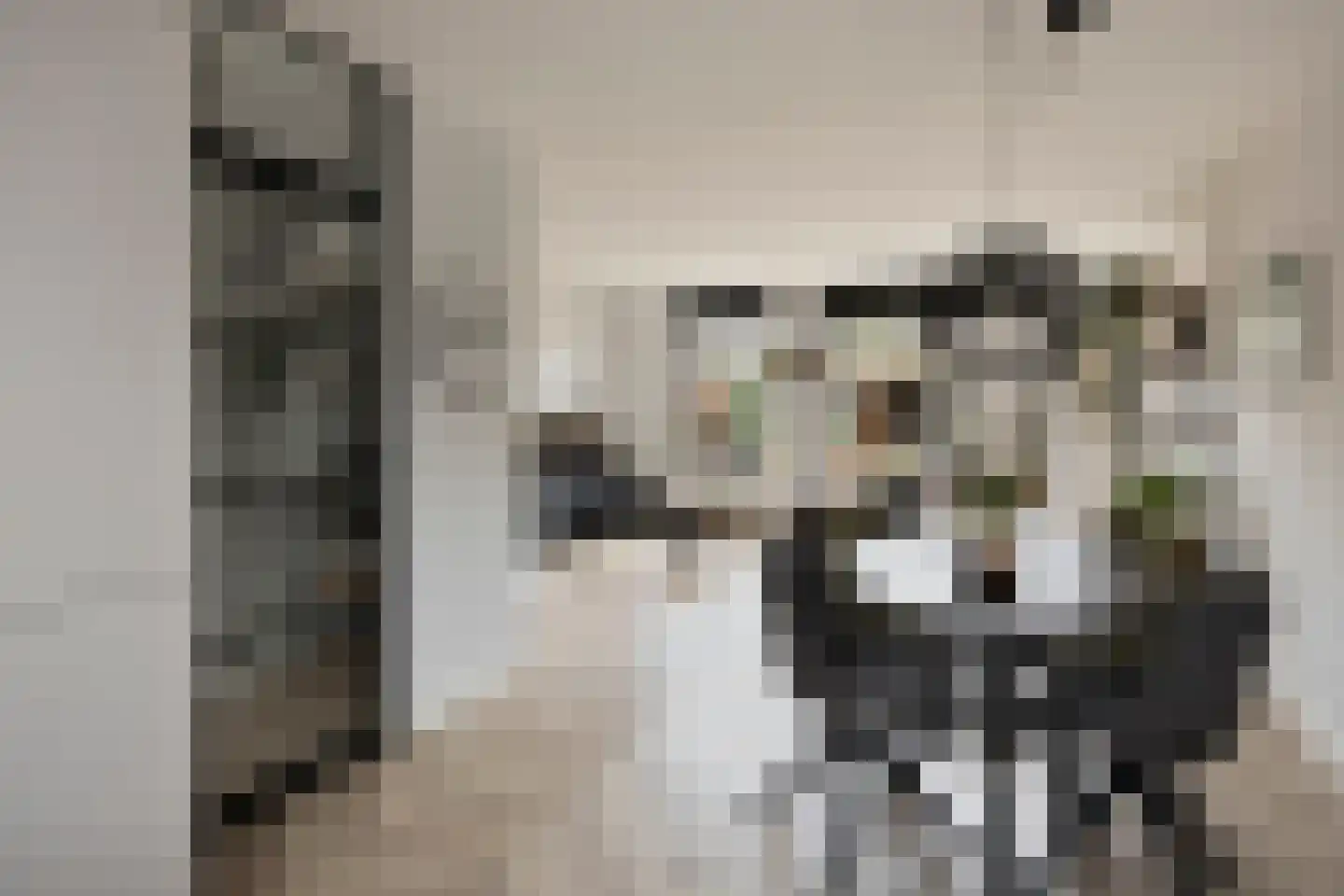 Ganzebloem 11 Kampen thumbnail 16