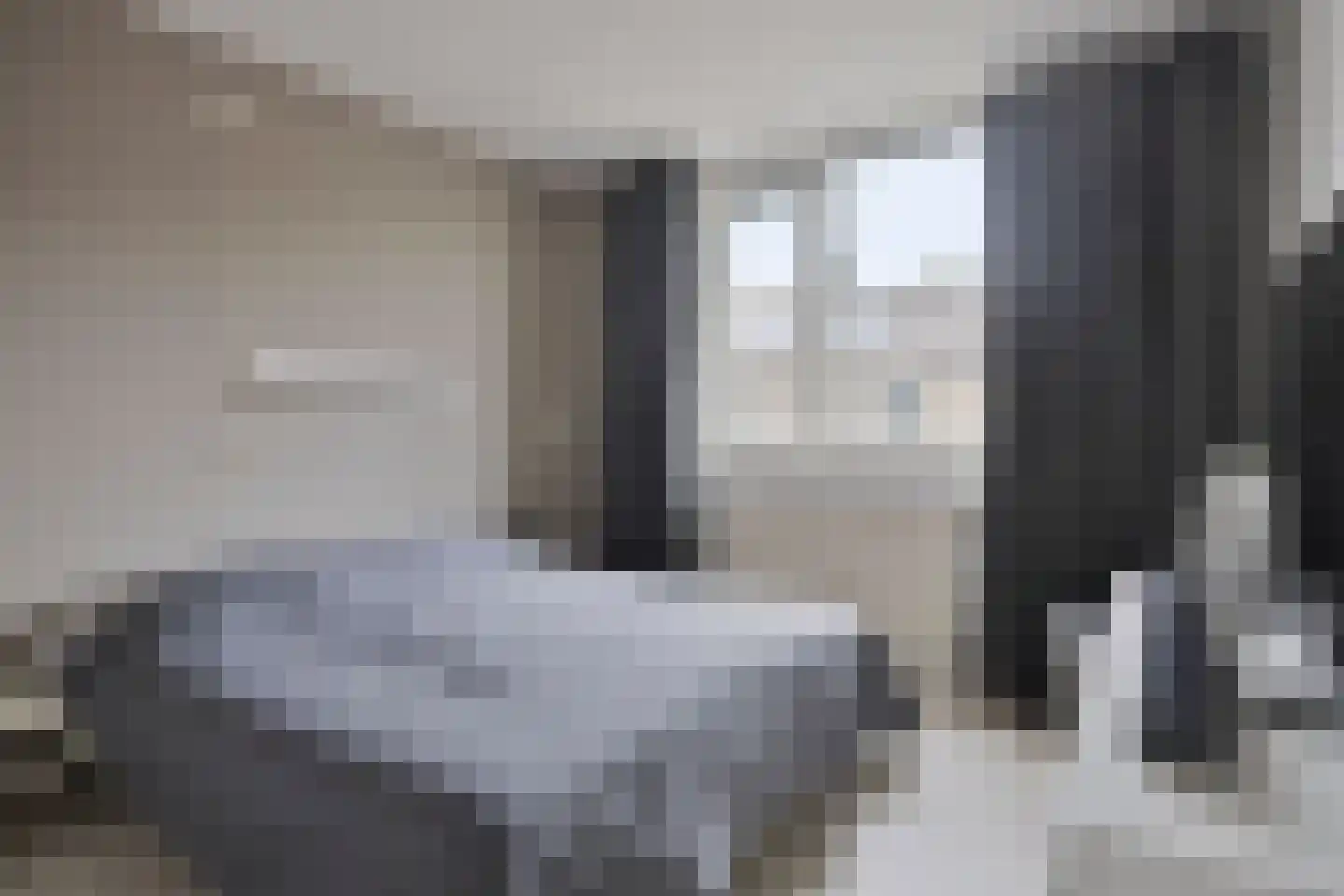 Ganzebloem 11 Kampen thumbnail 21