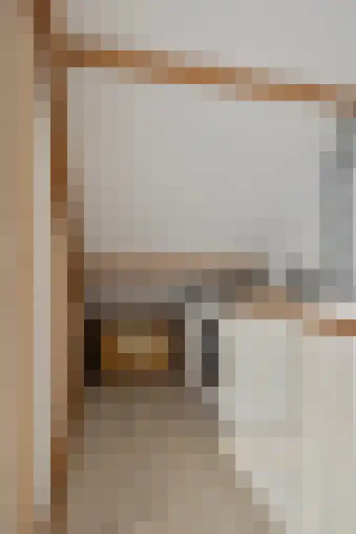Ganzebloem 11 Kampen thumbnail 29