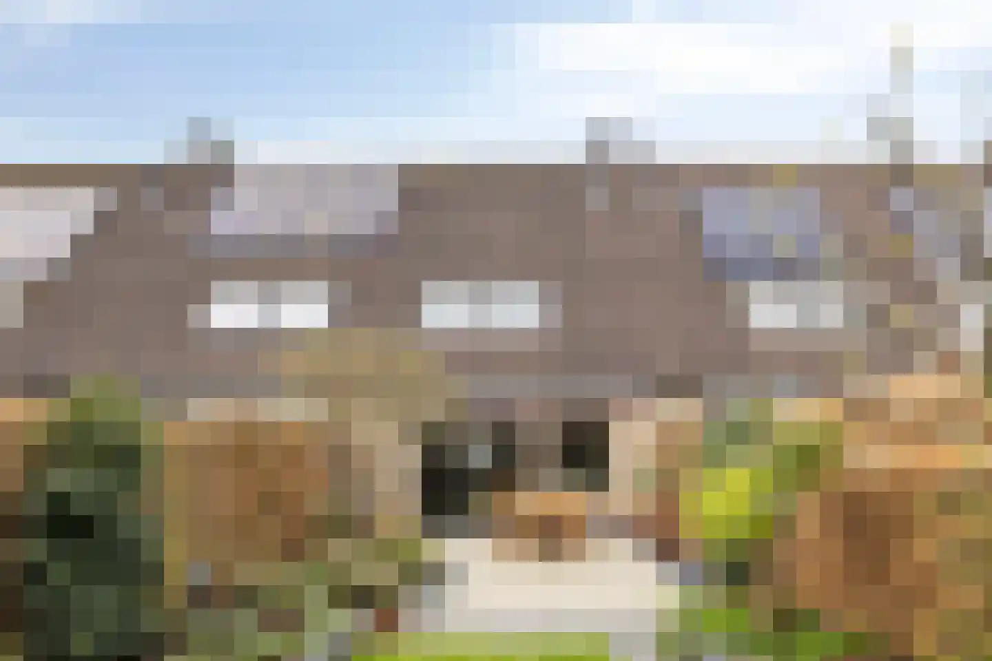 Ganzebloem 11 Kampen thumbnail 33