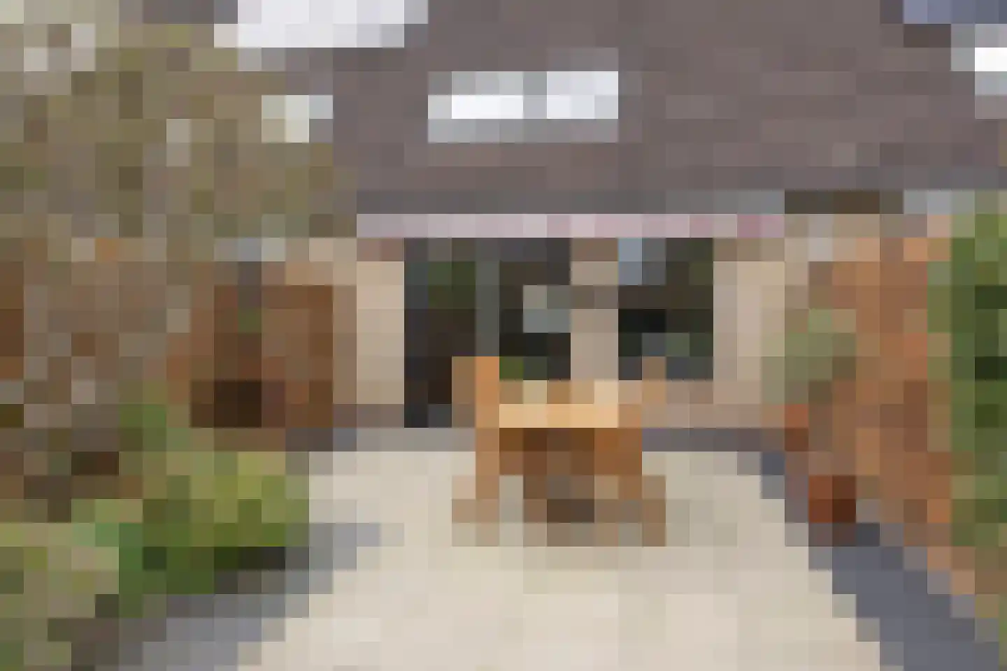 Ganzebloem 11 Kampen thumbnail 35