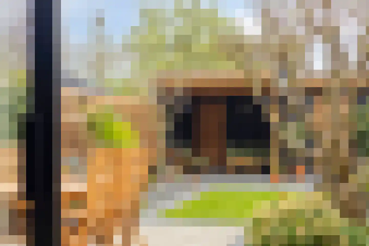 Ganzebloem 11 Kampen thumbnail 37