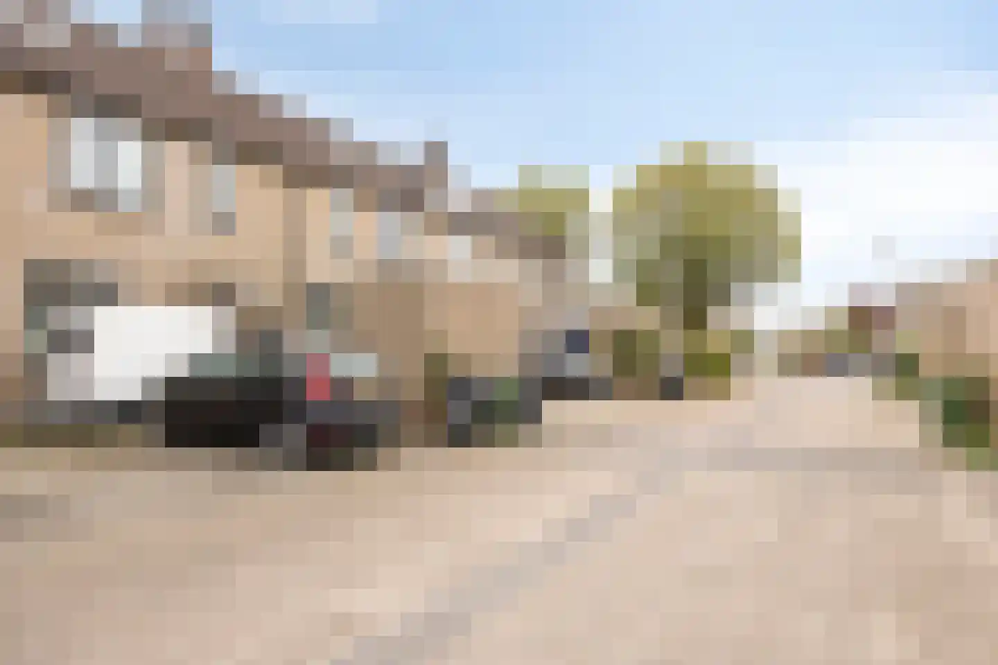 Ganzebloem 11 Kampen thumbnail 40