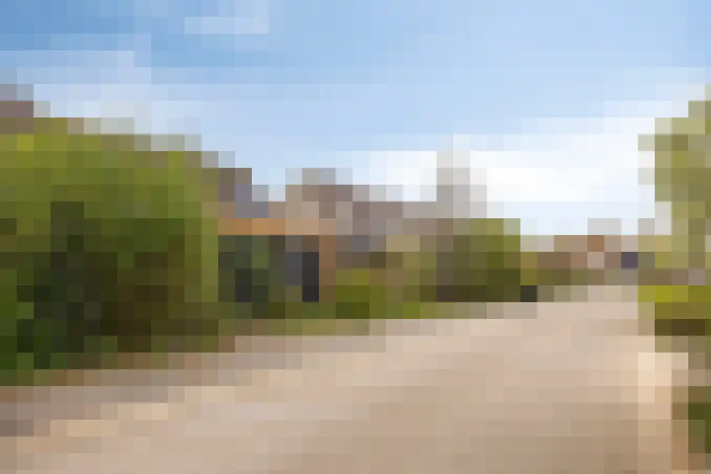 Ganzebloem 11 Kampen thumbnail 41