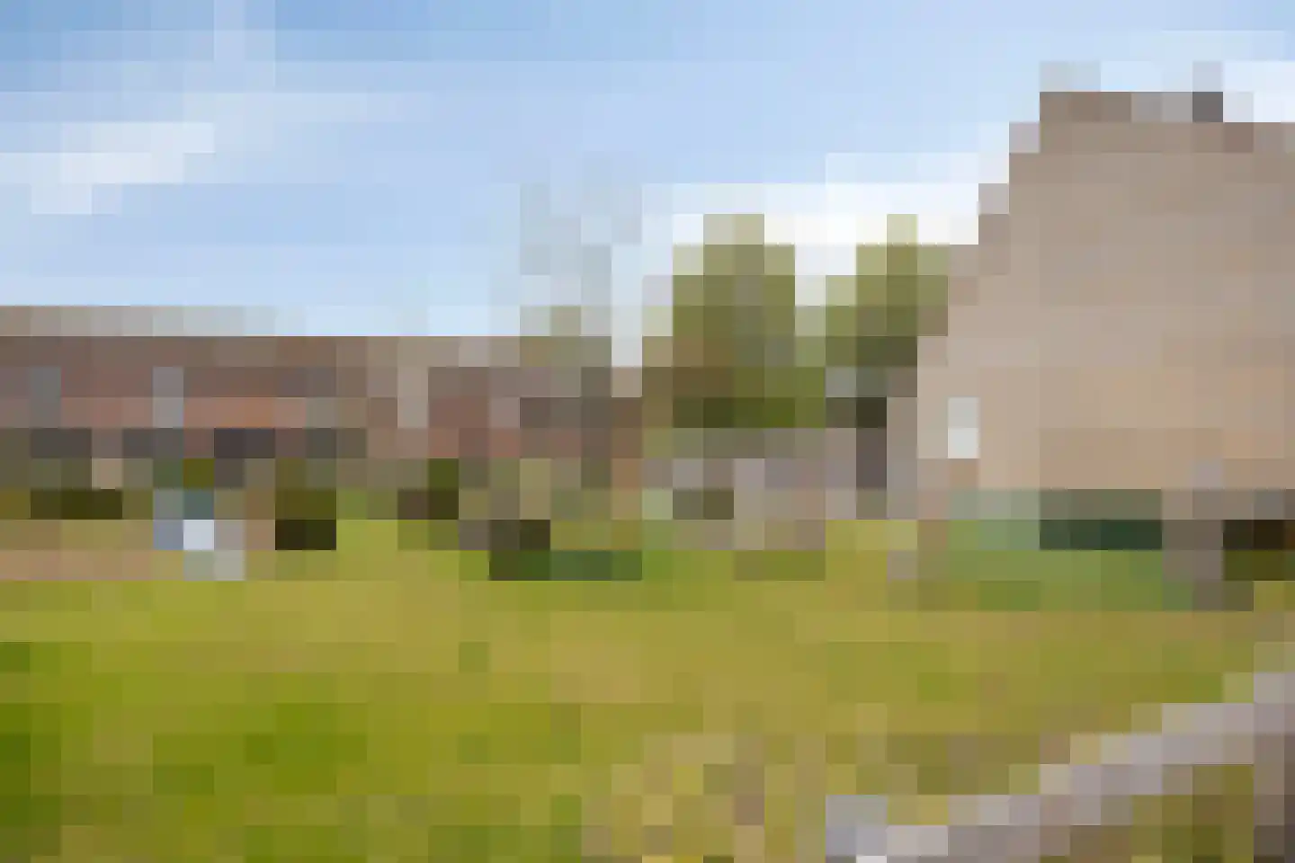 Ganzebloem 11 Kampen thumbnail 42