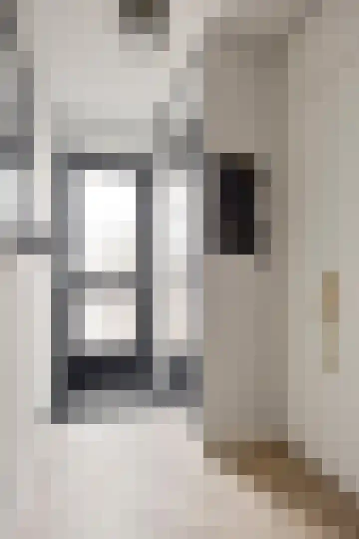 Ganzebloem 11 Kampen thumbnail 7