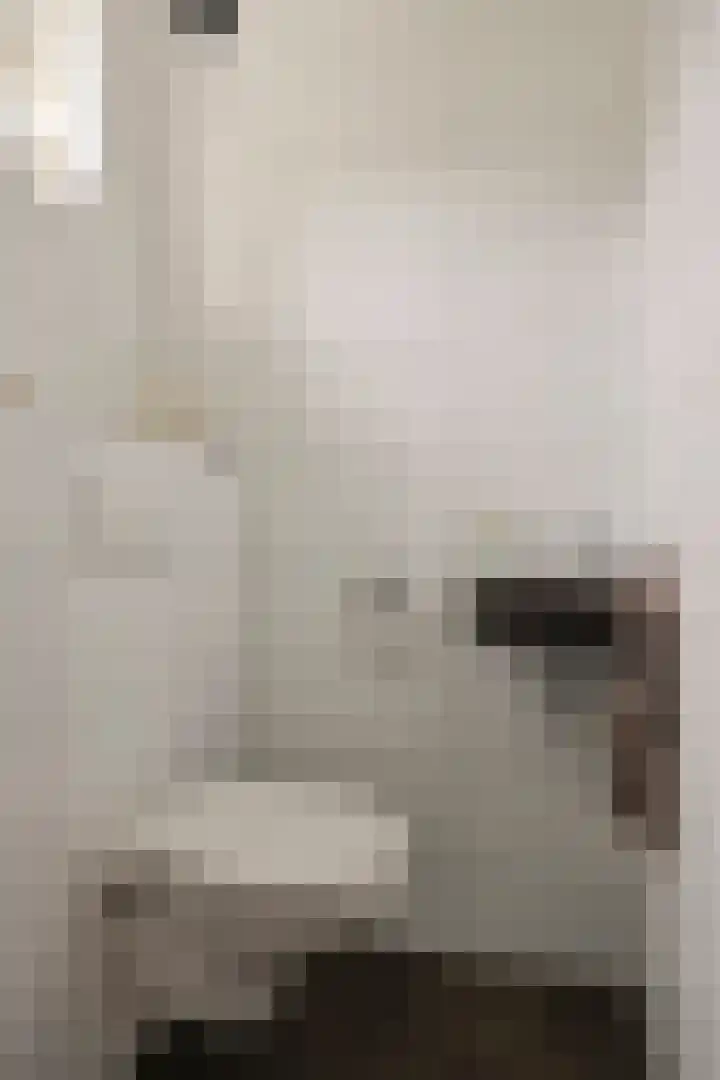 Ganzebloem 11 Kampen thumbnail 8