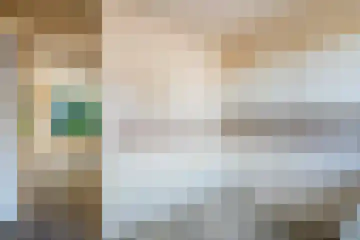 Ganzebloem 2 Culemborg thumbnail 10