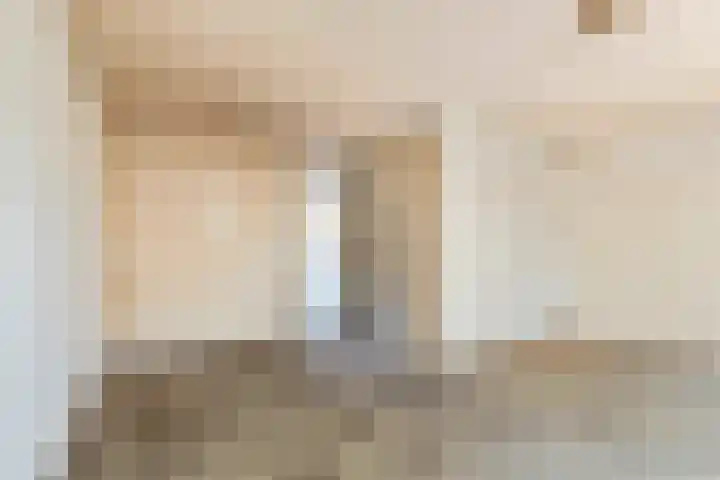 Ganzebloem 2 Culemborg thumbnail 12