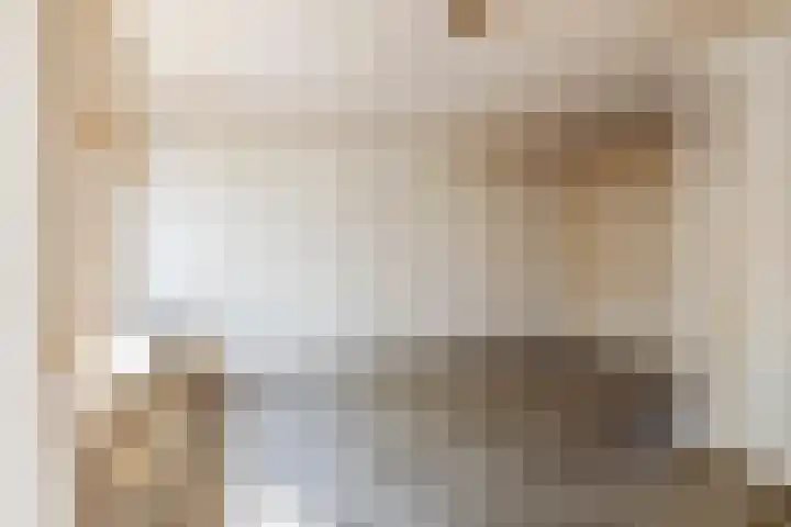 Ganzebloem 2 Culemborg thumbnail 13